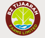 Bz logo